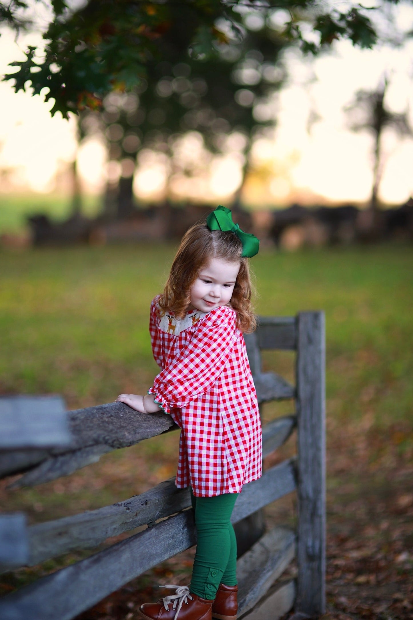 Love You Deerly Tunic